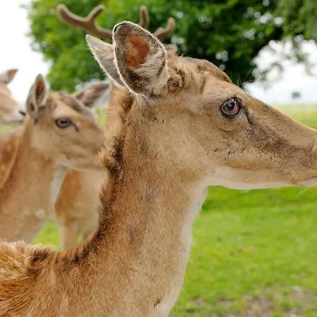 Hanznhof Urlaub Auf Dem Bauernhof Farmház