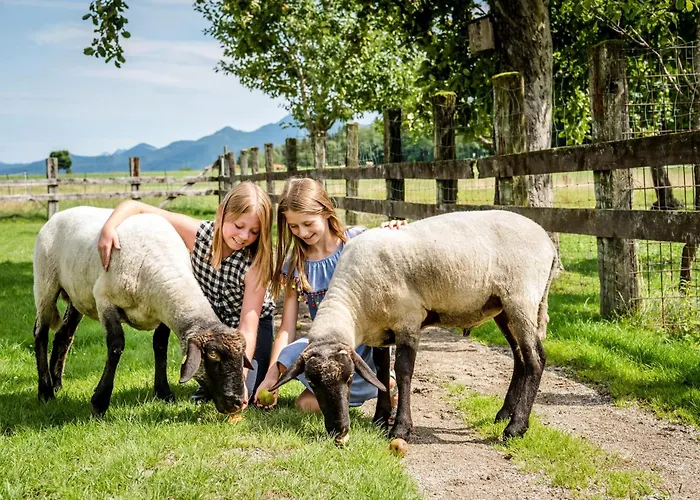Hanznhof Urlaub Auf Dem Bauernhof Alloggio per agriturismo *